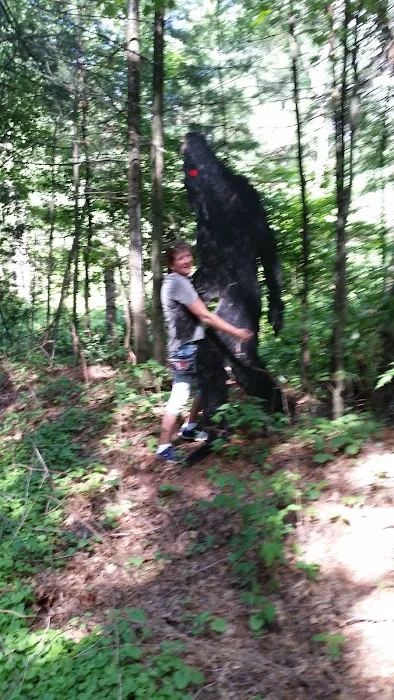 Wolf's Den Tavern & Resort Picture 4