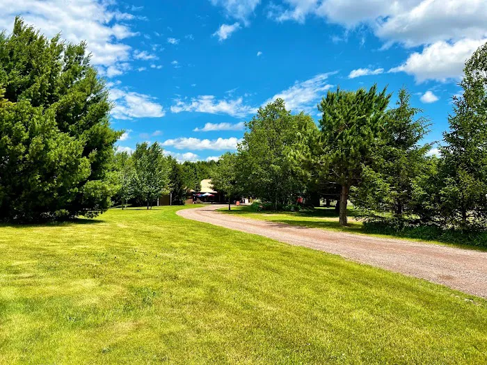 Buck 'n Beam's Social House & Campground Picture 2