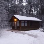 BLUEBIRD CAMPER CABIN