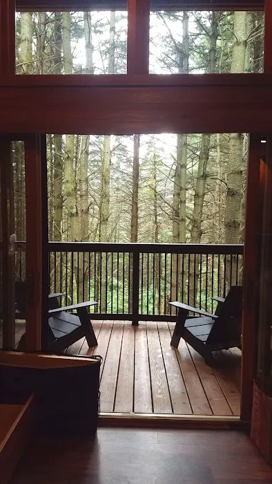 Whitetail Woods Camper Cabins Picture 2