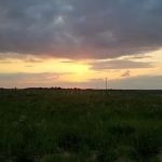 Whitetail Woods Camper Cabins