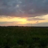 Whitetail Woods Camper Cabins ico
