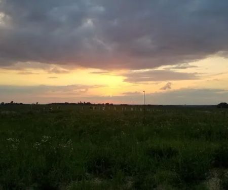 Whitetail Woods Camper Cabins