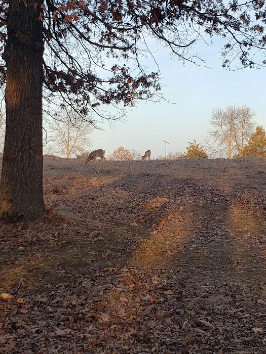 Afton State Park Backpacking Campsites Picture 6