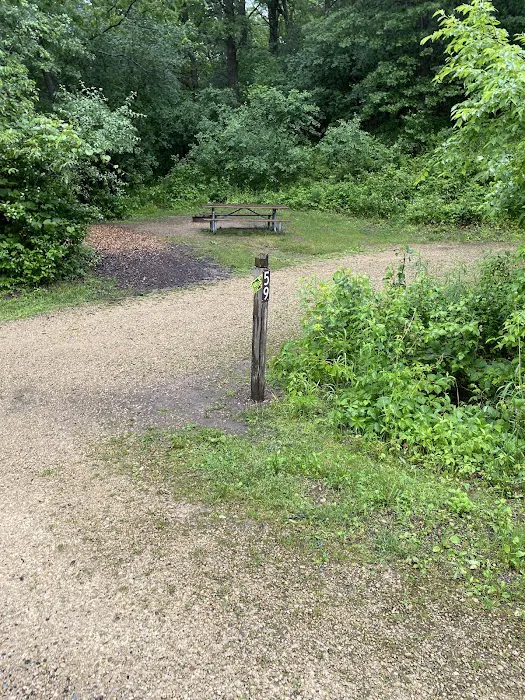 Lebanon Hills Campground Picture 3