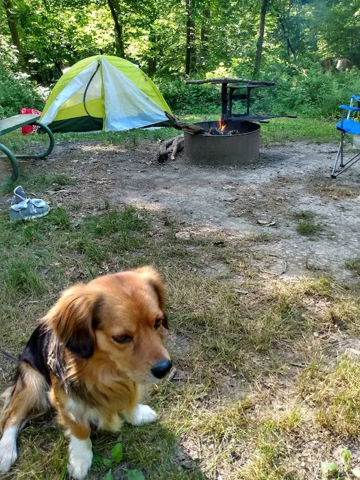 Ledges State Park Campgrounds Picture 5