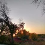 Roberts Creek Campground East