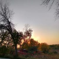 Roberts Creek Campground East ico