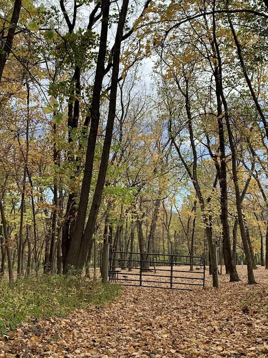 Roberts Creek West Picture 10