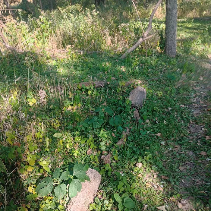 Raccoon river annex shangra la Picture 4