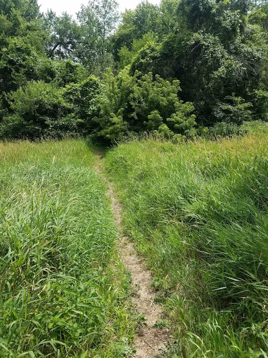 Raccoon river annex shangra la Picture 5