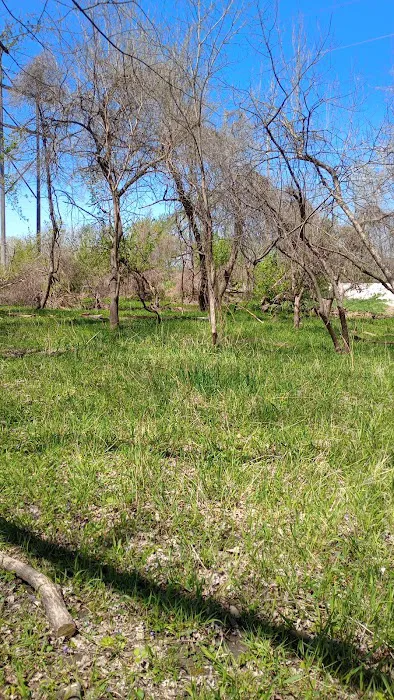 Raccoon river annex shangra la Picture 1
