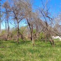Raccoon river annex shangra la ico