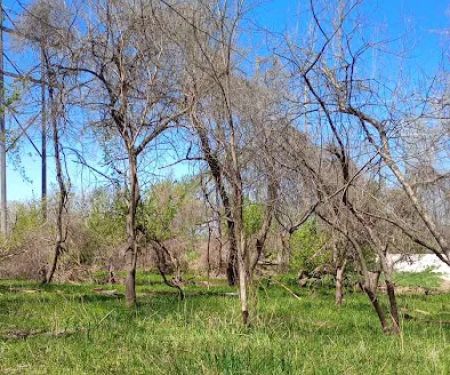 Raccoon river annex shangra la