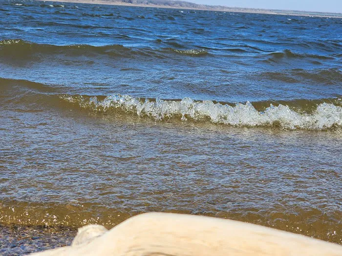Oak Grove Beach Picture 6