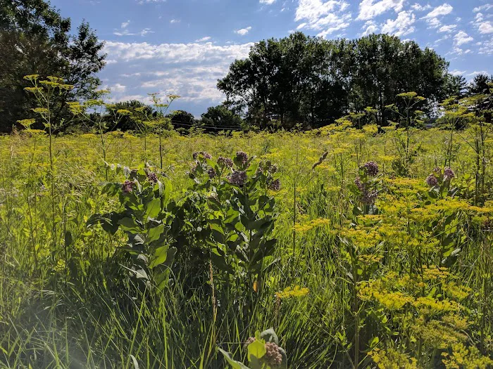 Prairie Flower Campground Picture 10