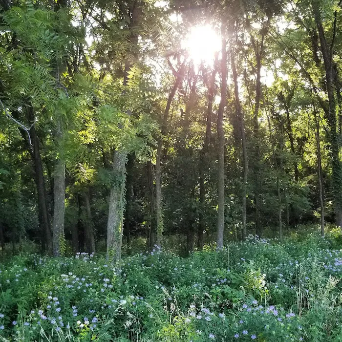 Prairie Flower Recreation Area Picture 6
