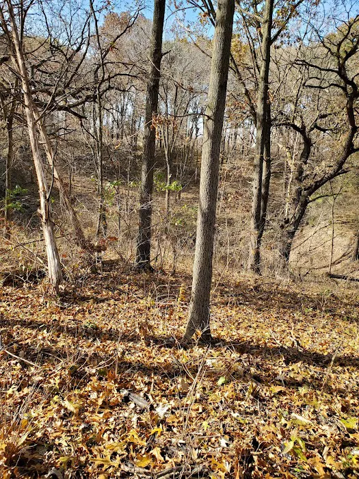 Prairie Flower Recreation Area Picture 2