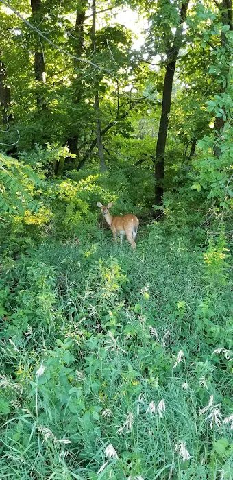 Prairie Flower Recreation Area Picture 5