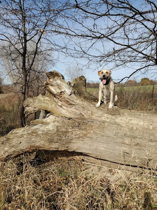 Prairie Flower Recreation Area Picture 9