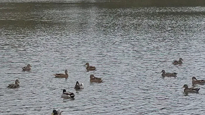 Cutty's Des Moines Camping Club Picture 6