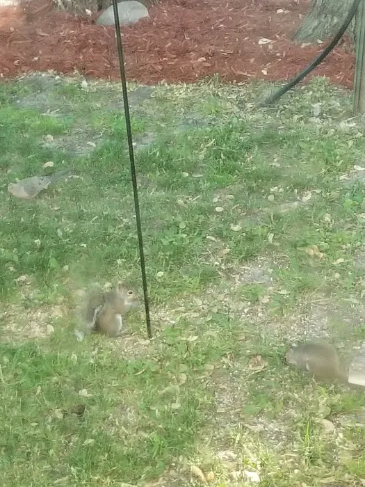 Sakatah Trail Campground Picture 7