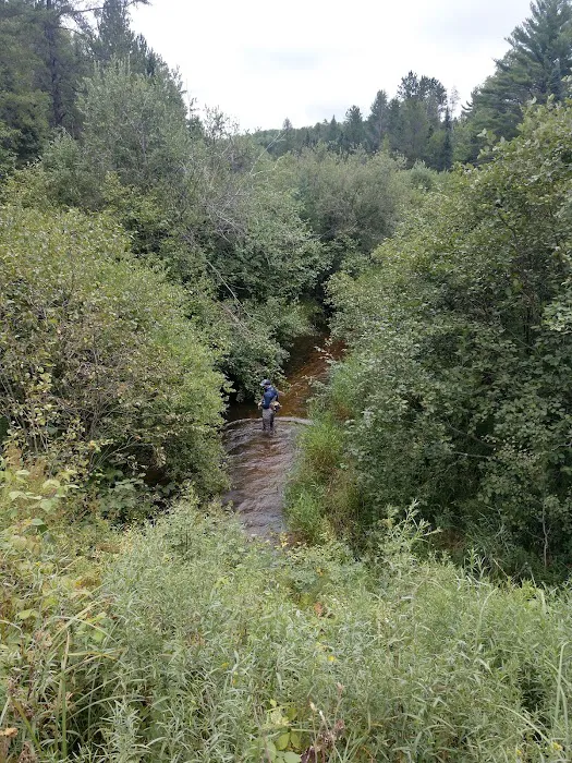 Deerskin River Campsite Picture 1
