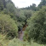 Deerskin River Campsite