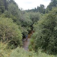 Deerskin River Campsite ico