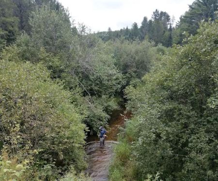 Deerskin River Campsite