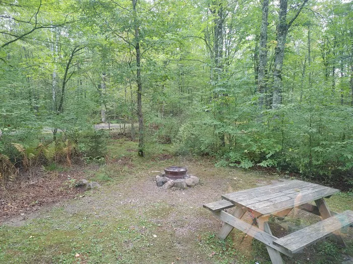 Ojibwa Park Picture 19