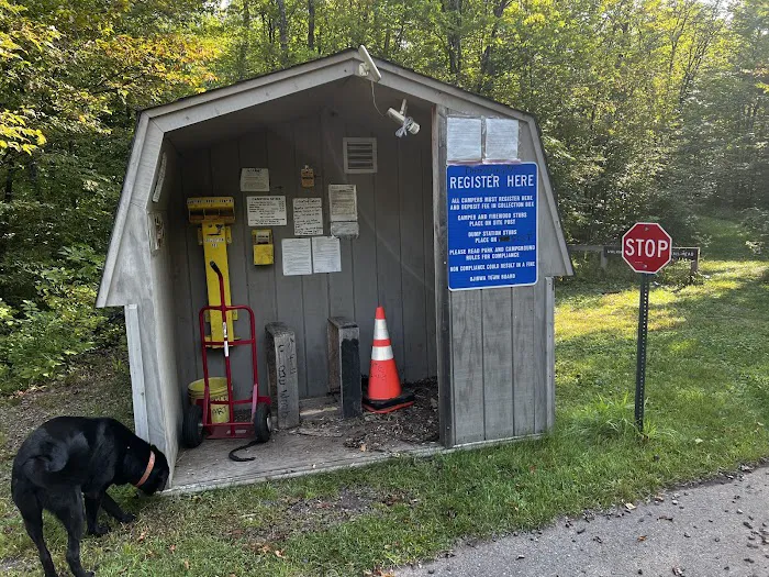 Ojibwa Park Picture 18