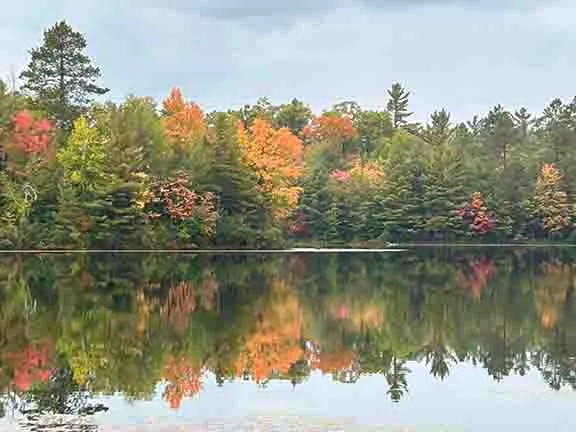 Punch Lake Campground Picture 5