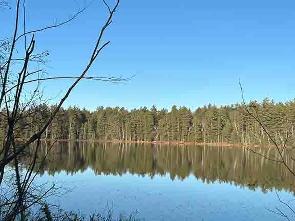 Punch Lake Campground Picture 9