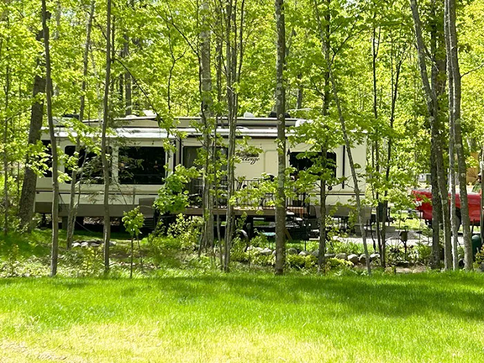 Punch Lake Campground Picture 10