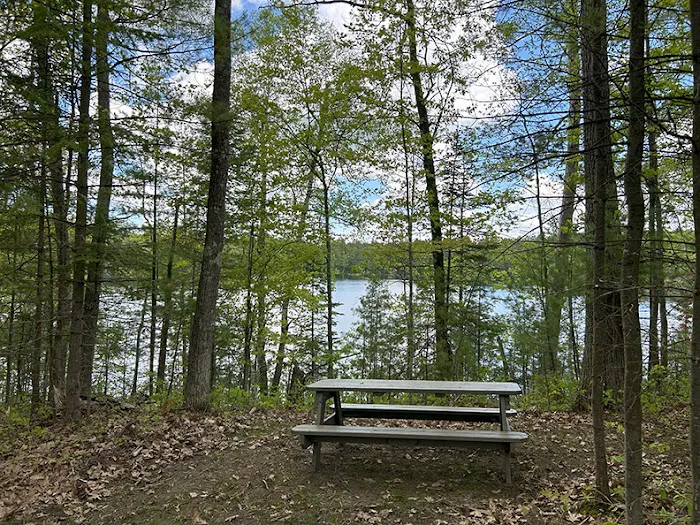 Punch Lake Campground Picture 7