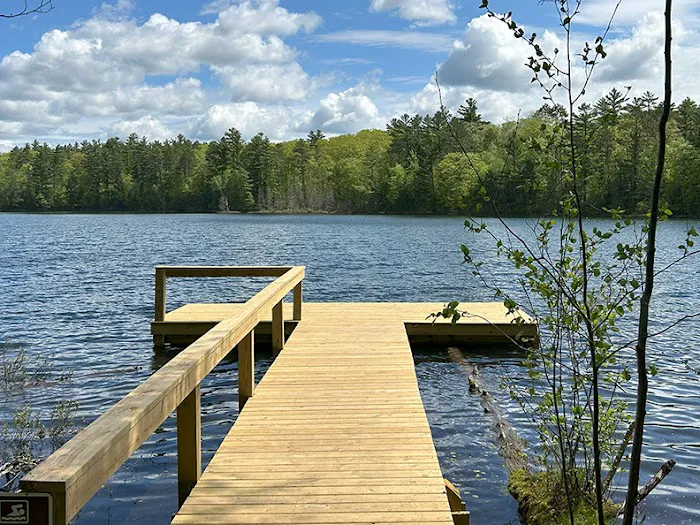 Punch Lake Campground Picture 8