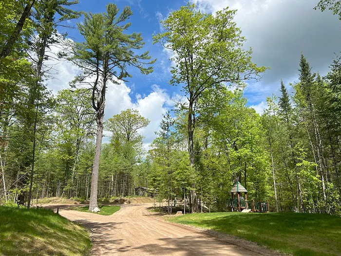 Punch Lake Campground Picture 1