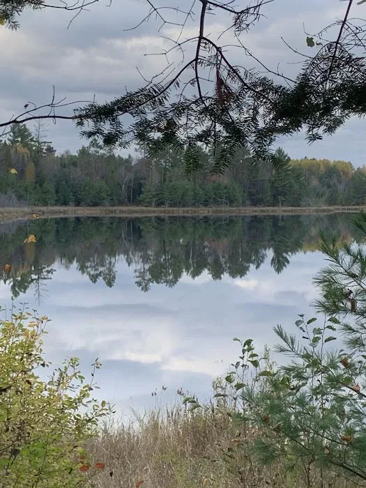 Emily Lake Campground Picture 5