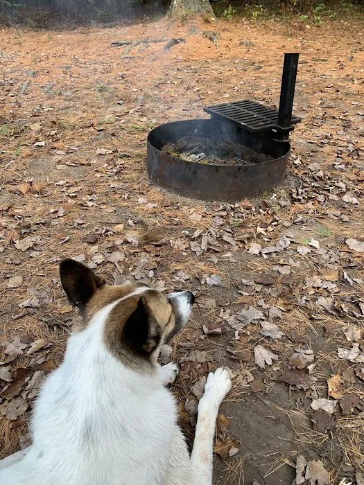 Emily Lake Campground Picture 7