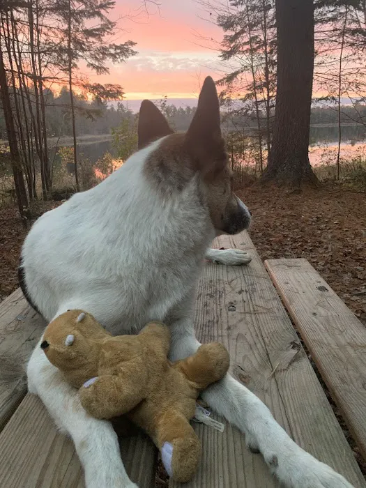 Emily Lake Campground Picture 1