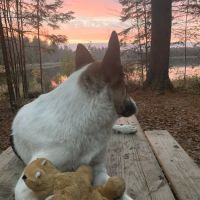 Emily Lake Campground ico