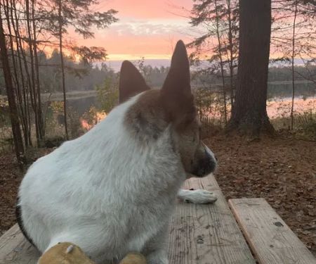 Emily Lake Campground