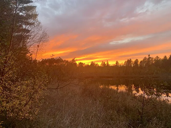 Emily Lake Campground Picture 2