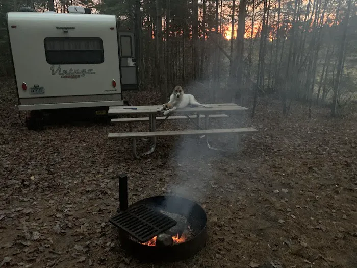 Emily Lake Campground Picture 4