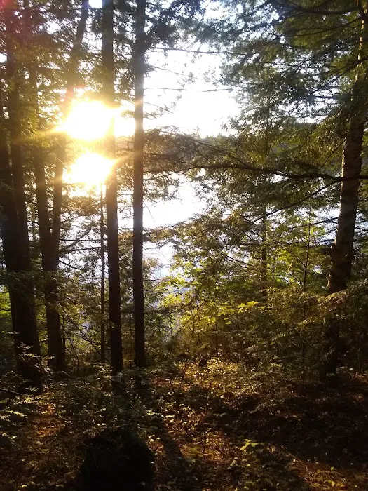 Wabasso Lake Campground Picture 7