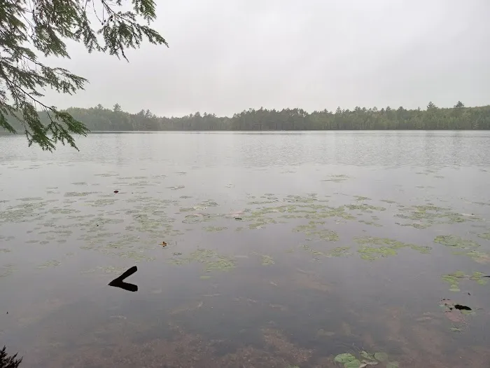 Wabasso Lake Campground Picture 1