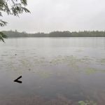 Wabasso Lake Campground