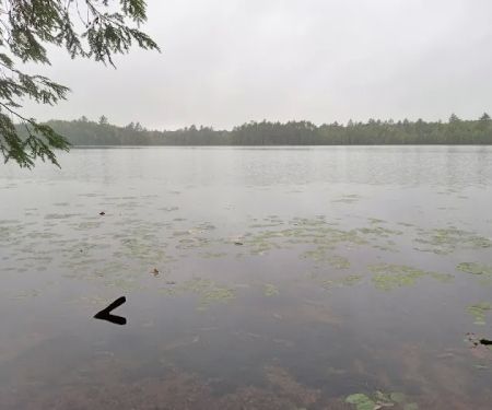 Wabasso Lake Campground