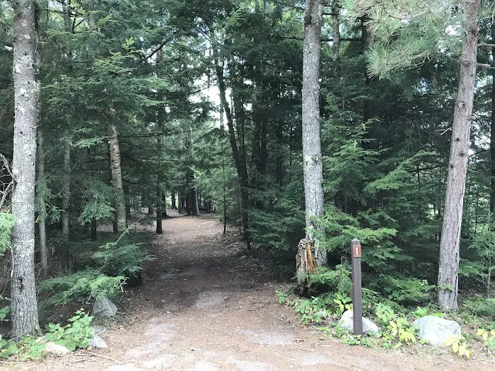 Wabasso Lake Campground Picture 6